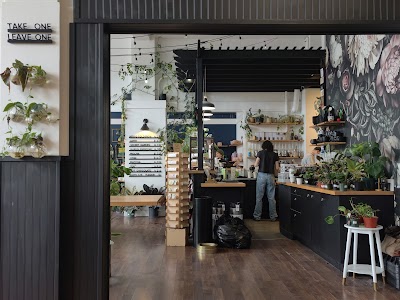 Greenhouse Coffee + Plants